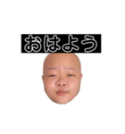ヒダリアリス（個別スタンプ：22）