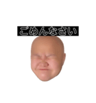 ヒダリアリス（個別スタンプ：23）