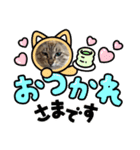 猫スタンプ1(8個)（個別スタンプ：3）