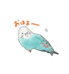 セキセイインコたち。（個別スタンプ：2）