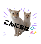 笹かまブラザーズ（個別スタンプ：1）