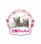 笹かまブラザーズ（個別スタンプ：4）