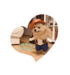 癒しのデカポメキュンちゃん（個別スタンプ：3）