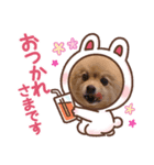癒しのデカポメキュンちゃん（個別スタンプ：5）