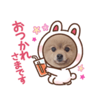癒しのデカポメキュンちゃん（個別スタンプ：6）
