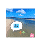 ハワイの景色と毎日使う言葉（個別スタンプ：3）
