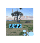 ハワイの景色と毎日使う言葉（個別スタンプ：4）