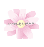 ハワイの景色と毎日使う言葉（個別スタンプ：7）