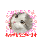 GURU 第一弾（個別スタンプ：1）