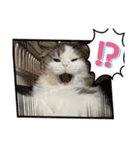 GURU 第一弾（個別スタンプ：4）
