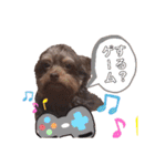 かわいいパピちゃん（個別スタンプ：8）