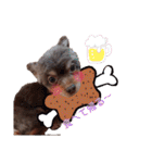 かわいいパピちゃん（個別スタンプ：15）
