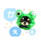テテさんスタンプ。（個別スタンプ：5）