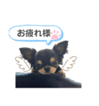 テテさんスタンプ。（個別スタンプ：6）
