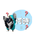 テテさんスタンプ。（個別スタンプ：7）