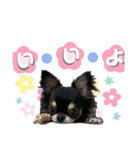 テテさんスタンプ。（個別スタンプ：9）