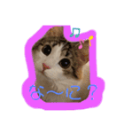 優稀記念スタンプ2（個別スタンプ：3）