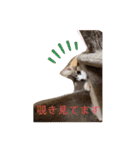 優稀記念スタンプ2（個別スタンプ：6）