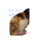 優稀記念スタンプ2（個別スタンプ：10）