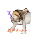 優稀記念スタンプ2（個別スタンプ：11）