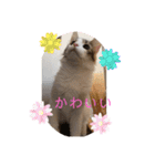 優稀記念スタンプ2（個別スタンプ：17）