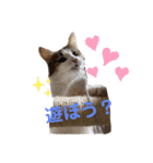 優稀記念スタンプ2（個別スタンプ：20）