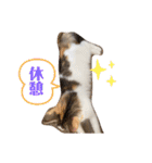 優稀記念スタンプ2（個別スタンプ：23）
