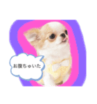 Annabanana1985（個別スタンプ：2）