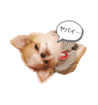 Annabanana1985（個別スタンプ：3）