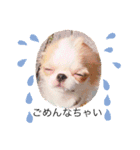Annabanana1985（個別スタンプ：4）