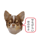 Annabanana1985（個別スタンプ：19）