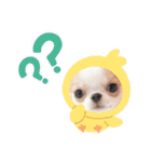 Annabanana1985（個別スタンプ：21）