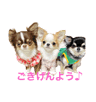 Annabanana1985（個別スタンプ：22）