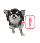 Annabanana1985（個別スタンプ：25）