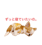 Annabanana1985（個別スタンプ：32）