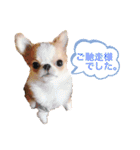 Annabanana1985（個別スタンプ：33）