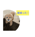 ジィジィ君（個別スタンプ：1）