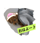 ジィジィ君（個別スタンプ：3）