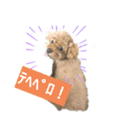 ジィジィ君（個別スタンプ：5）