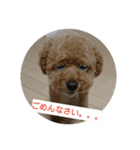 ジィジィ君（個別スタンプ：8）