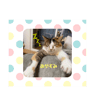 みみちゃんのすたんぷー（個別スタンプ：1）