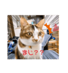 みみちゃんのすたんぷー（個別スタンプ：2）