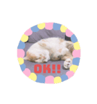 みみちゃんのすたんぷー（個別スタンプ：5）