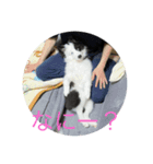 オレオ氏（個別スタンプ：2）