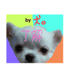 テカルスタンプ（個別スタンプ：1）