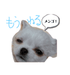 テカルスタンプ（個別スタンプ：3）