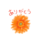 花とことば（個別スタンプ：1）