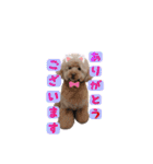 トリミングサロンMKDOGスタンプ（個別スタンプ：17）