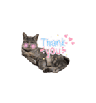 トリミングサロンMKDOGスタンプ（個別スタンプ：29）