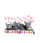 トリミングサロンMKDOGスタンプ（個別スタンプ：32）